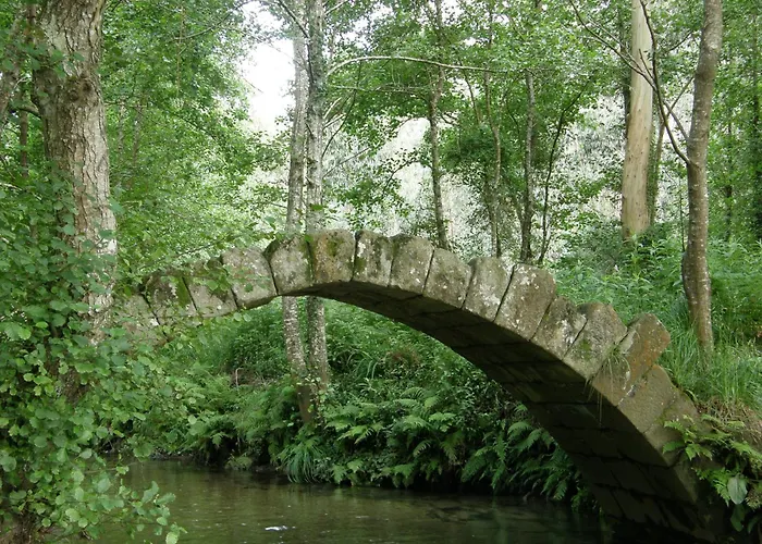 Teixoeira アパート *